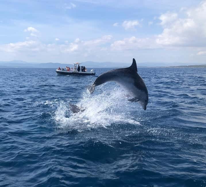 Olbia: Eco-Friendly Dolphin-Watching Boat Trip - Eco-friendly boat style, and what it means in practice