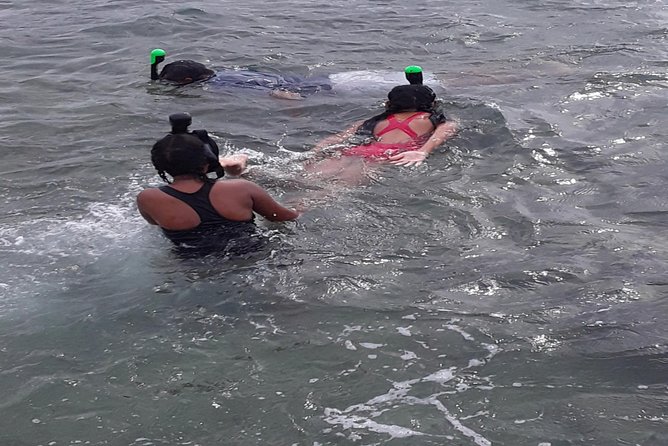 Other side of heaven Eco friendly snorkeling adventure - From Vuna Wharf to the snorkeling area: simple start, clear flow