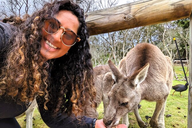 Penguin Parade, & Wildlife Encounters Eco Tour from Melbourne - Moonlit Sanctuary: feeding kangaroos and getting real close to Aussie animals
