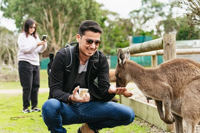 Penguin Parade, & Wildlife Encounters Eco Tour from Melbourne - The Nobbies, Seal Rocks, and the coastal breaks that make the drive feel shorter