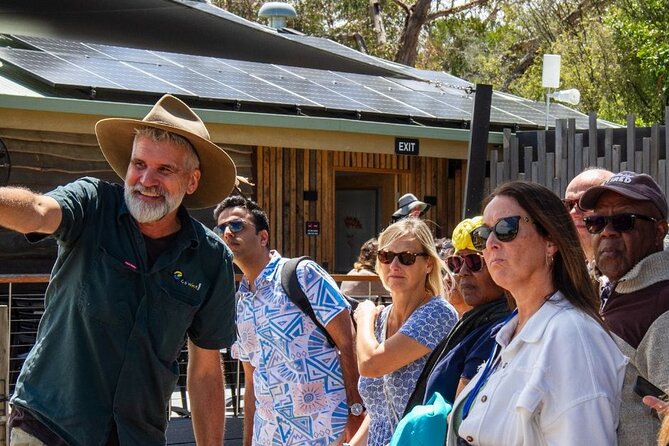 Penguin Parade, & Wildlife Encounters Eco Tour from Melbourne - Pacing and timing: how to handle a 12-hour nature-and-dusk schedule