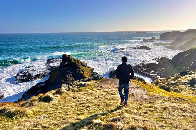 Phillip Island & Penguin Parade Afternoon Eco Tour from Melbourne - Key things I’d plan around