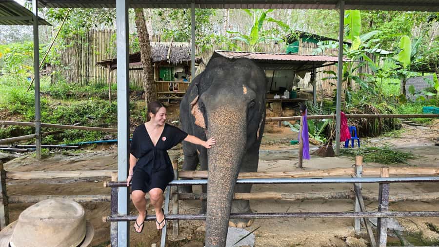 Phuket: Phuket Elephant Care Sanctuary ECO Tour - Key things that make this tour worth your time