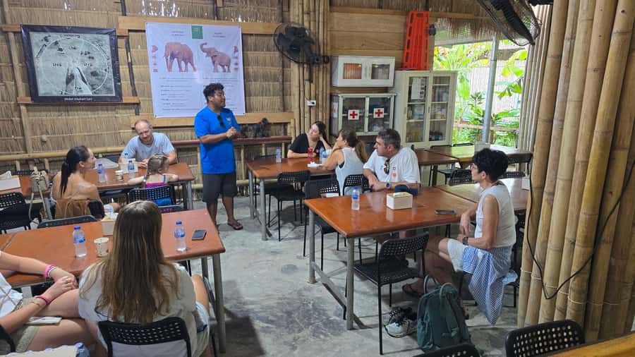 Phuket: Phuket Elephant Care Sanctuary ECO Tour - The mud spa: why “scrub and heal” is part of the experience