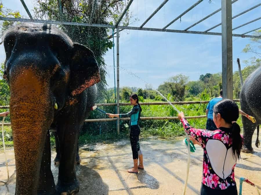 Phuket: Phuket Elephant Care Sanctuary ECO Tour - Duration and pacing: what 90 minutes feels like in real life