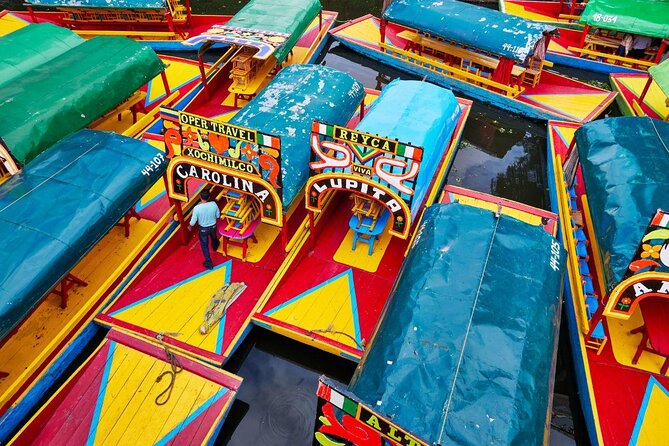 Pre-Hispanic Xochimilco, local food included and ajolotario. - Key Highlights You’ll Care About
