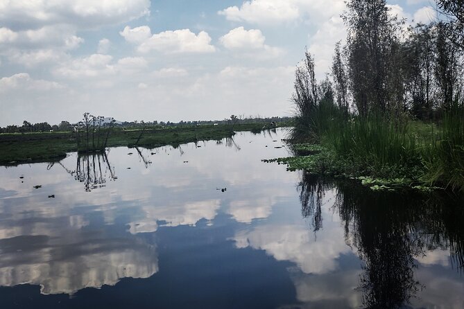 Pre-Hispanic Xochimilco, local food included and ajolotario. - First Stop: Cuahilama Hill and Its Ancient Glyphs