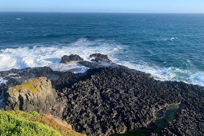 Premium Small Group Philip Island eco Tour - Penguin Parade at sunset: the main event you’ll remember