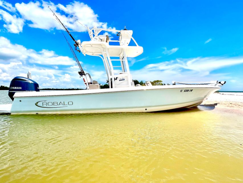 Private 2 Hour Dolphin & Eco Tour Marco Island, FL - Key highlights worth planning for
