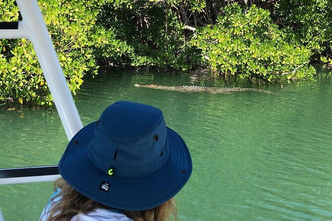 Private 2 hour Mangrove Ecotour - Who this Mangrove Ecotour is best for