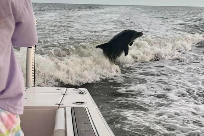 Private 4 Hour Shelling , Fishing and Eco Tour Marco Island FL - Captain Jason and the hands-on feel you’re paying for