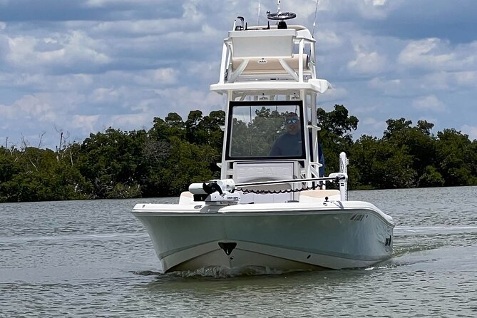 Private 4 Hour Shelling , Fishing and Eco Tour Marco Island FL - Price and value: $675 for a group, not per person