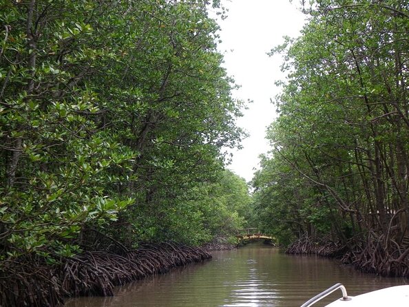 Private Can Gio Mangrove Eco Tour – Boat & Wildlife - Key highlights you’ll care about