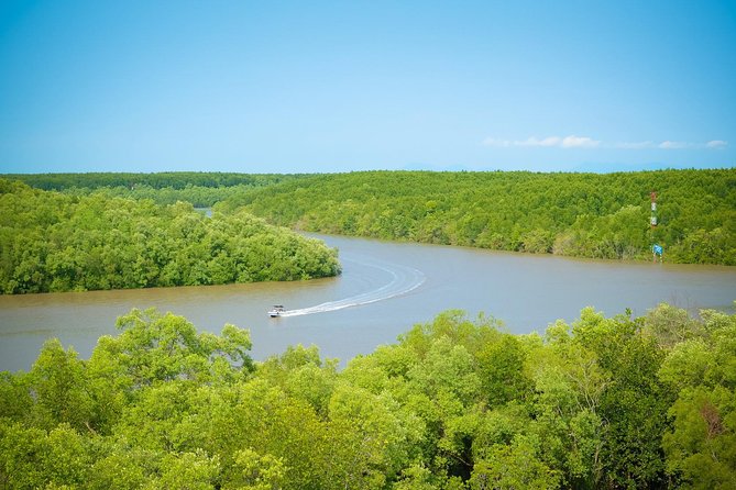 Private Can Gio Mangrove Eco Tour – Boat & Wildlife - Can Gio Mangroves: A Real Change of Pace From Ho Chi Minh City