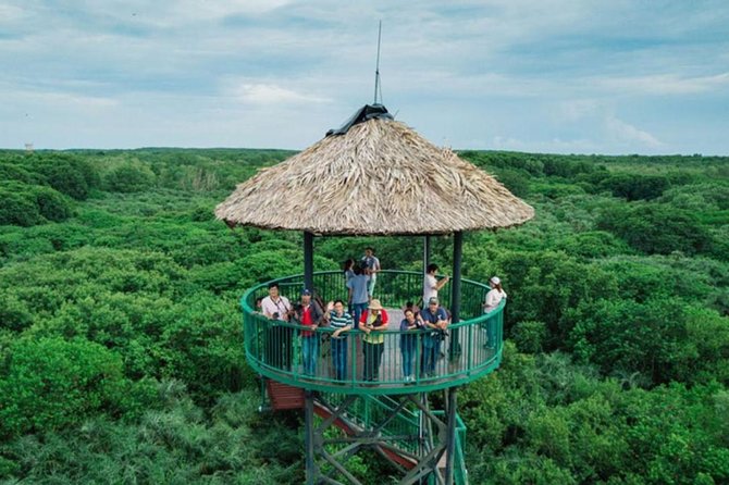 Private Can Gio Mangrove Eco Tour – Boat & Wildlife - Timing, Pace, and Who This Tour Fits Best