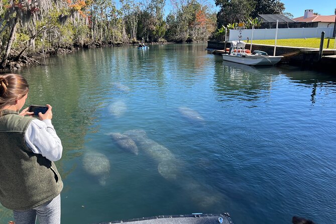 Private Eco Tour in Kings Bay Crystal River Florida - Key Points You’ll Care About