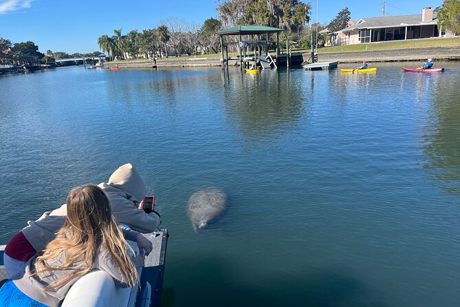 Private Eco Tour in Kings Bay Crystal River Florida - Private Doesn’t Just Mean Quiet: It Changes How You Watch