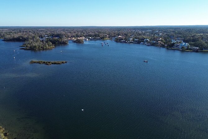 Private Eco Tour in Kings Bay Crystal River Florida - Stop One: Kings Bay Park and the Wildlife-Spotting Game Plan