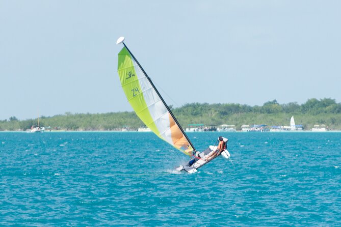 Private Eco-Tour on a Recreational Catamaran with Kayaks Included - Price and value: $199 per group can be a smart split