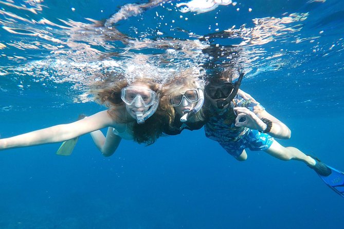 Private snorkel with 2 stops in Aruba - Eco-friendly! - Who This Tour Fits Best (and Who Might Want Another Option)