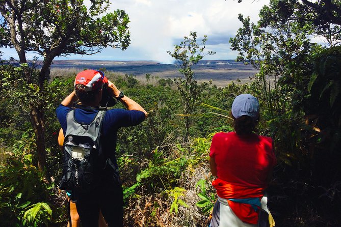Private Tour: Hawaii Volcanoes National Park Eco Tour - Volcano House steam vents, rainforest trails, and Chain of Craters orientation