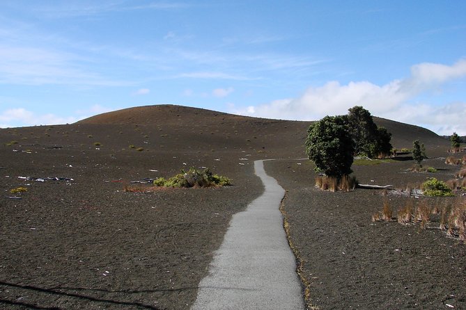 Private Tour: Hawaii Volcanoes National Park Eco Tour - Halemaumau Trail: caldera views plus plants, birds, and Hawaiian culture