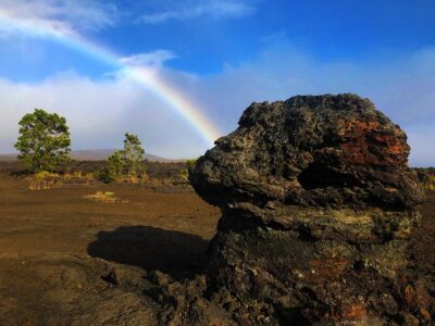 Private Tour: Hawaii Volcanoes National Park Eco Tour - Nahuku–Thurston Lava Tube: walking through a 500-year-old tunnel