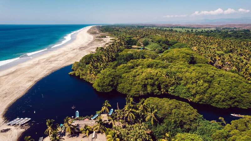 Puerto Escondido: Oaxaca Coast Wildlife Ecotour - Laguna Ventanilla: the wildlife moment you’re paying for