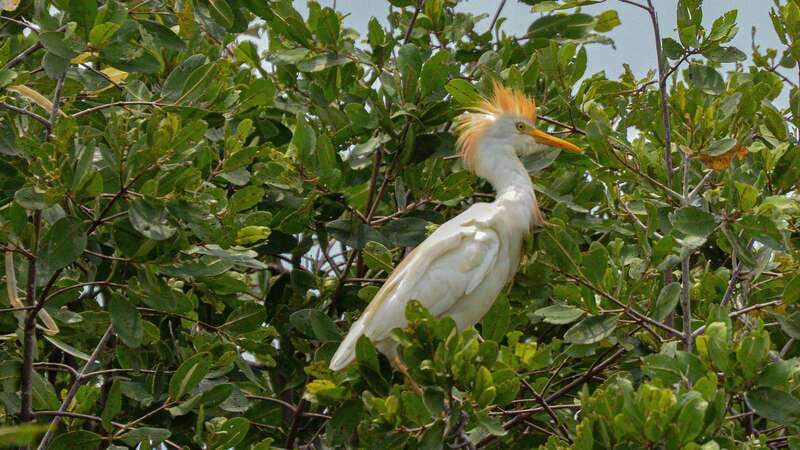 Puerto Escondido: Oaxaca Coast Wildlife Ecotour - Zipolite beach: short photo time with big atmosphere