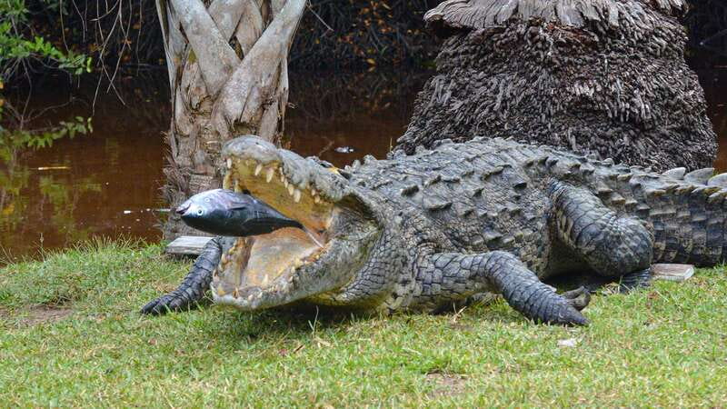 Puerto Escondido: Oaxaca Coast Wildlife Ecotour - Price and logistics: what $50 really buys