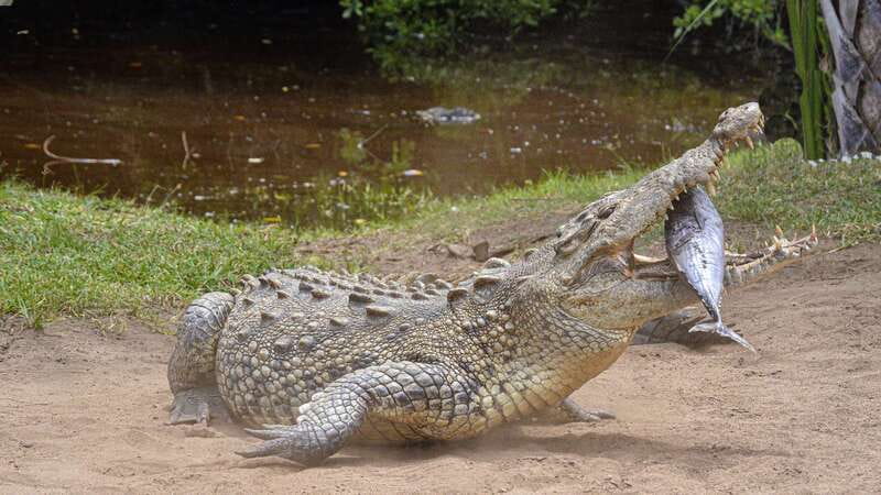 Puerto Escondido: Oaxaca Coast Wildlife Ecotour - What to bring so the day doesn’t feel annoying