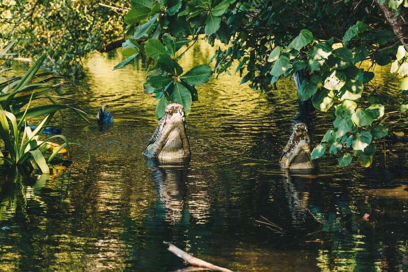 Puerto Escondido: Oaxaca Coast Wildlife Ecotour - Best fit: who will love this tour, and who might not