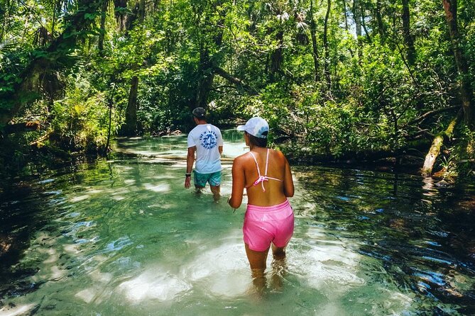 Rainbow Springs: Clear Kayak & Snorkel Eco Tour - Quick take: what you should know before you go