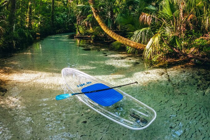 Rainbow Springs: Clear Kayak & Snorkel Eco Tour - The 2-hour plan on the Rainbow River: northbound, then back to the springs