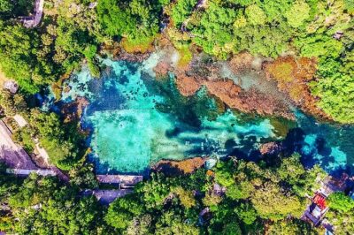 Rainbow Springs: Clear Kayak & Snorkel Eco Tour - Meeting at KP Hole Park (and the $10 entrance reality)
