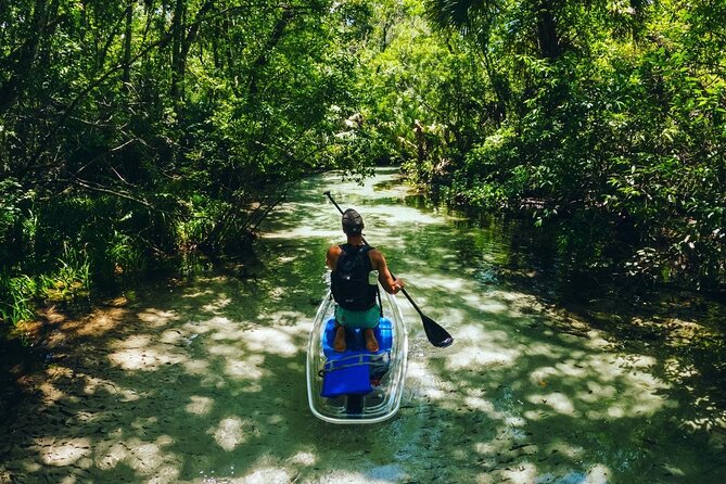 Rainbow Springs: Clear Kayak & Snorkel Eco Tour - Wildlife spotting and guide storytelling (Aly and Josh style)