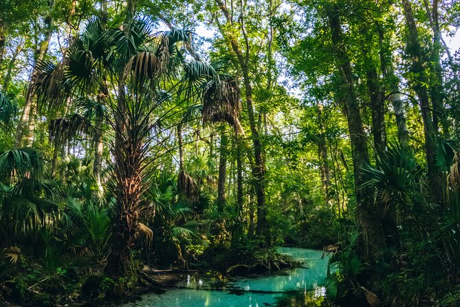 Rainbow Springs: Clear Kayak & Snorkel Eco Tour - Snorkel expectations: what’s included and what to plan for