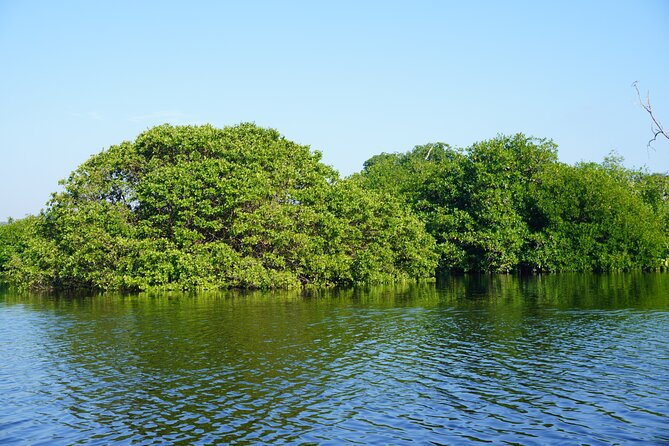 Reptile Eco Tour in Oaxacas Coastal Communities - The pace: calm, not rushed, and built for real attention