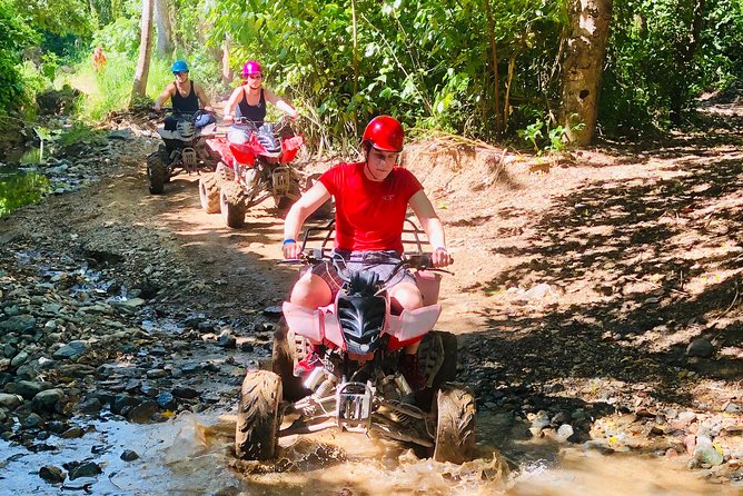 Roatán Shore Excursions: Wildlife + ATV/Buggy & Beach(1Beer/pp) - Who Should Book This (and Who Might Skip It)