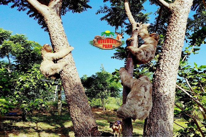 Roatán Shore Excursions: Wildlife + ATV/Buggy & Beach(1Beer/pp) - The Sloth and Monkey Sanctuary Stop: Open Habitats and Cultural Storytelling