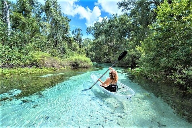 Rock Springs 2-Hour Glass Bottom Guided Kayak Eco Tour - Emerald Cut Clear-Kayak Highlights You’ll Feel Immediately