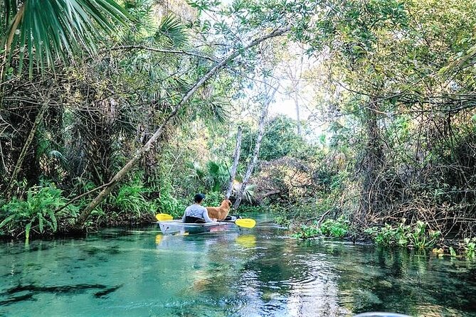 Rock Springs 2-Hour Glass Bottom Guided Kayak Eco Tour - Floating Into Emerald Cut: The Real Reason Clear Kayaks Work