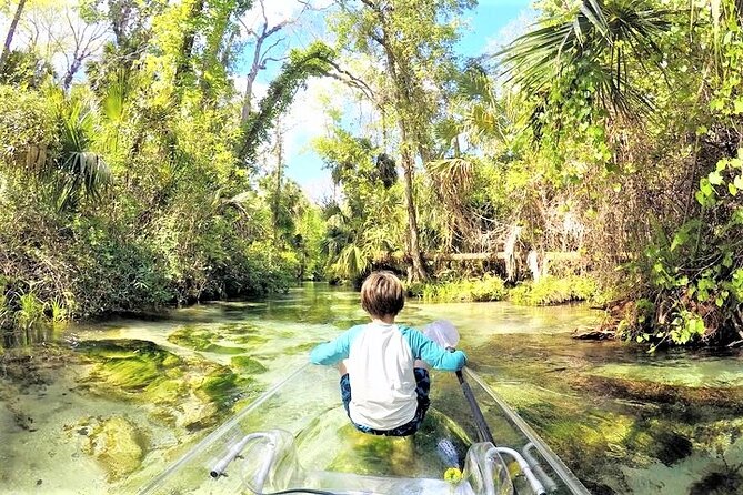Rock Springs 2-Hour Glass Bottom Guided Kayak Eco Tour - Clear Kayak Comfort and Safety: The Practical Stuff That Matters