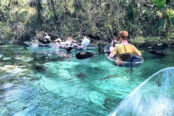 Rock Springs 2-Hour Glass Bottom Guided Kayak Eco Tour - Your 2–2.5 Hour Route: Upstream Glide, Wildlife Stops, and a Fun Platform Break