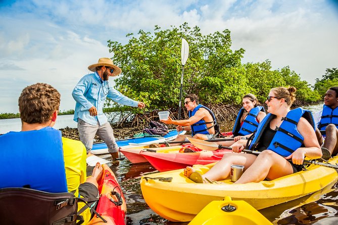Rookery Bay Kayak Adventure – Mangroves, Wildlife & Photos - What to bring: water, snacks, bug repellent, and photo timing