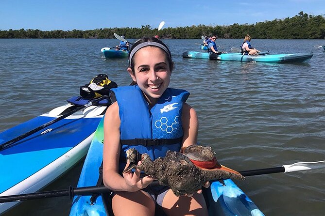 Rookery Bay Kayak Adventure – Mangroves, Wildlife & Photos - Paddling difficulty: moderate fitness, tricky channels, and calm conditions