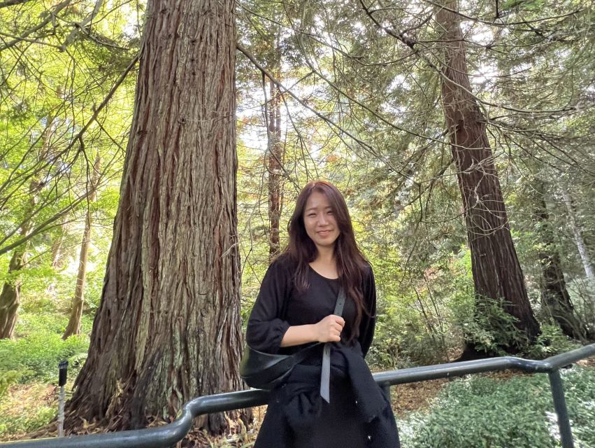 San Francisco's Wild Side, Ecotour With Meteorologist - Redwood groves, Monarch Bear Grove, and the park’s many personalities