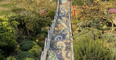 San Francisco's Wild Side, Ecotour With Meteorologist - Music Concourse and the Conservatory of Flowers: the park turns urban-adjacent