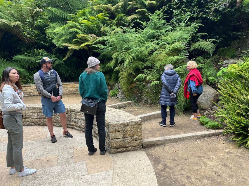 San Francisco's Wild Side, Ecotour With Meteorologist - Tiled stairways: two sets of climbs, one very SF view