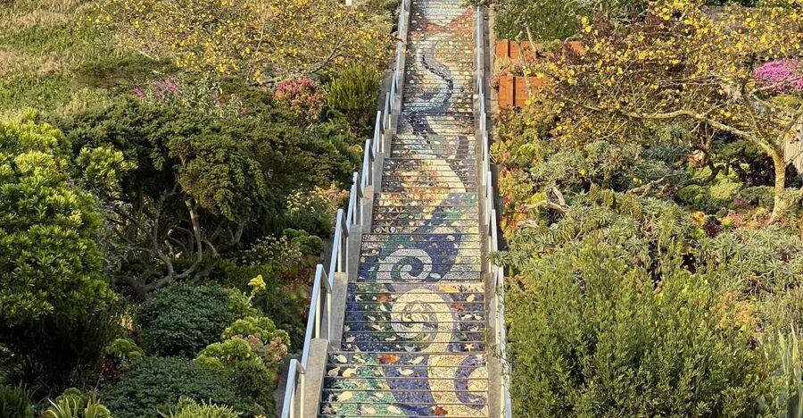 San Francisco's Wild Side, Ecotour With Meteorologist - Music Concourse and the Conservatory of Flowers: the park turns urban-adjacent